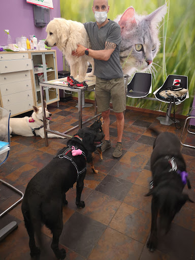 Exivet Clínica Veterinaria – Sabadell