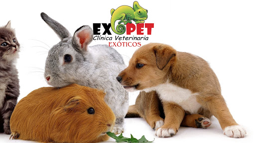 Exopet Clínica Veterinaria – Alicante