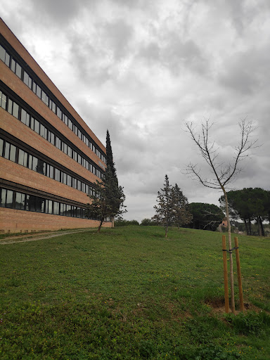 Facultat de Veterinaria – Uab – Cerdanyola del Vallès