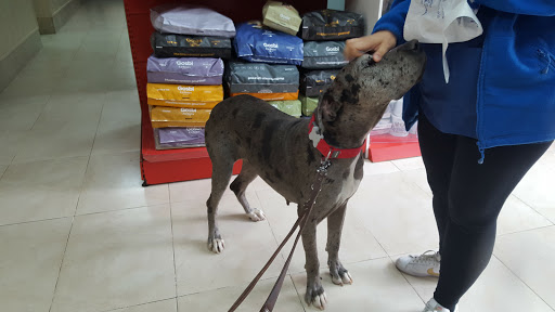 Faunia Centro Veterinario – Torrijos