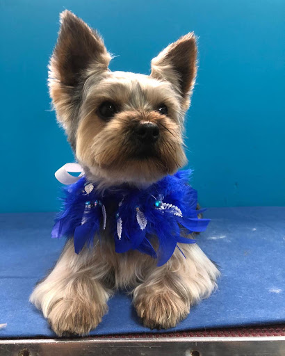 Feres Clínica Veterinaria – Sant Joan de Vilatorrada