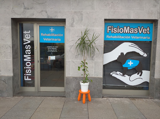 Fisiomasvet Rehabilitación Veterinaria – Erandio