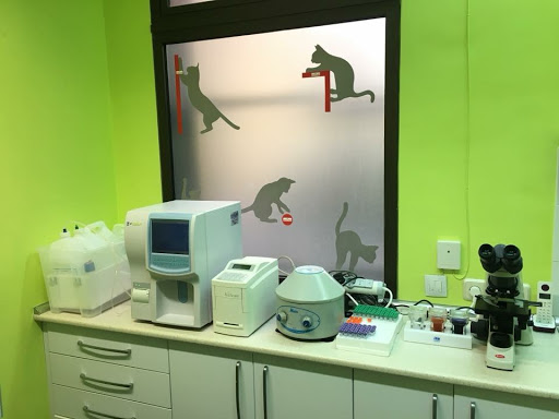 Green Dog Clínica Veterinaria – Madrid