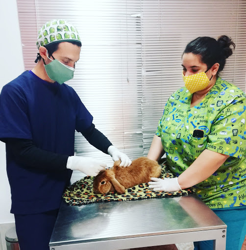 Hispalvet Veterinarios – Tomares