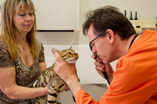 Hospital Clínic Veterinari Nexo Oftevet – Tortosa