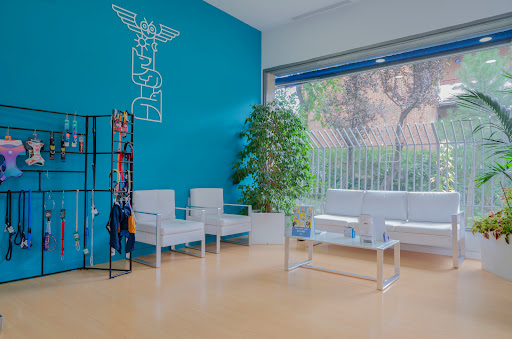 Hospital Veterinario Alberto Alcocer – Madrid
