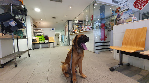 Hospital Veterinario Balmes – Barcelona