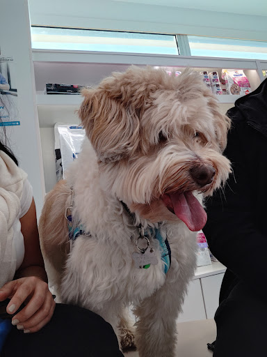 Hospital Veterinario Castellon del Mar – Castellón de la Plana