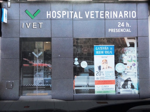 Hospital Veterinario Ivet Ribadesella – Ribadesella