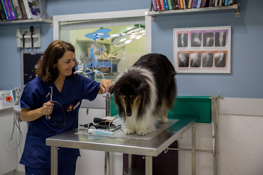 Hospital Veterinario La Arboleda – El Puerto de Santa María