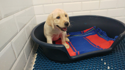 Hospital Veterinario Les Alfàbegues – Bétera