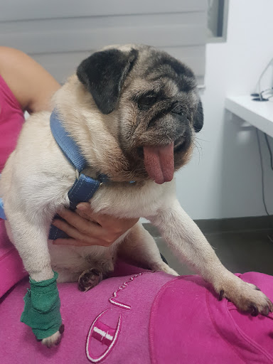 Hospital Veterinario Los Tarahales – Las Palmas de Gran Canaria