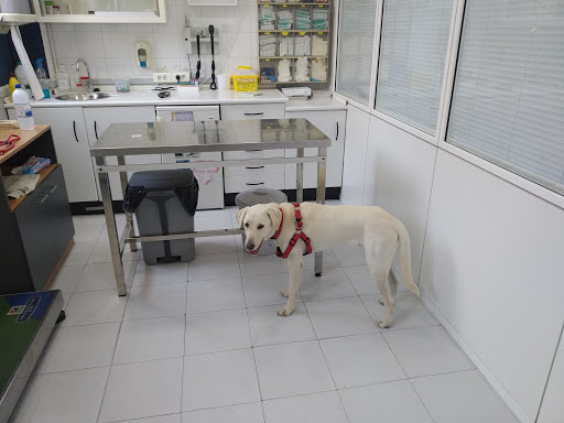 Hospital Veterinario Martorell – Martorell