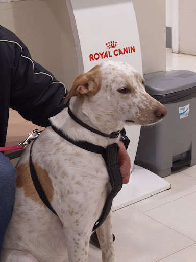 Hospital Veterinario Of The University Of Zaragoza – Zaragoza