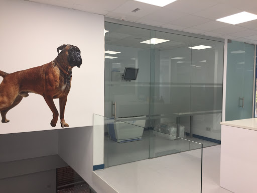 Hospital Veterinario Parque de Berlín – Madrid