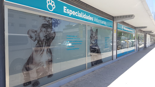 Hospital Veterinario San Antón S. L. – Colmenar Viejo