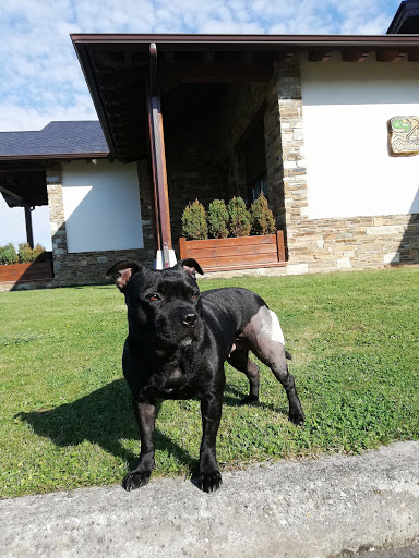 Hospital Veterinario Tapia – Tapia de Casariego
