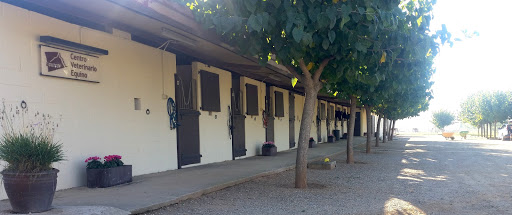 Hospital Veterinario de Caballos Eguisof – Roca Del Valles ( La )