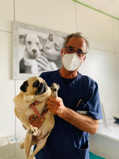 Hospital Veterinario de Catalunya – Òdena – Òdena