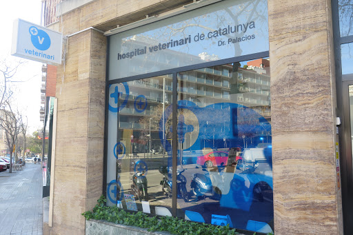 Hospital Veterinario de Catalunya – Sarrià – Barcelona