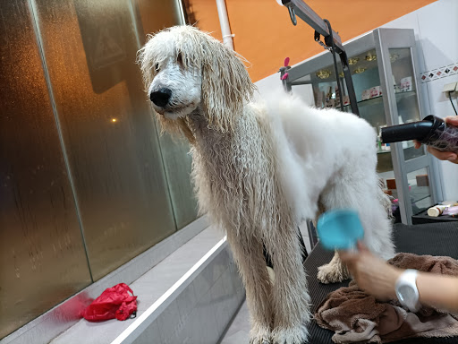 Hospital Veterinario de Mollerussa – Mollerussa