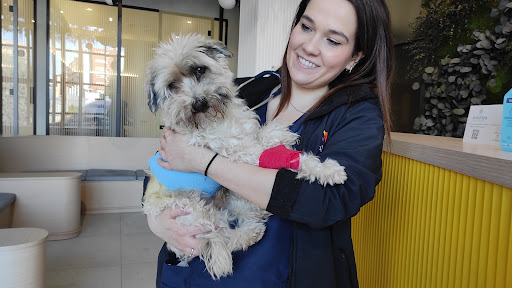 Hospital Veterinario de Referencia Veterios – Madrid