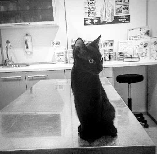 Hostalets Veterinaria – Els Hostalets de Pierola