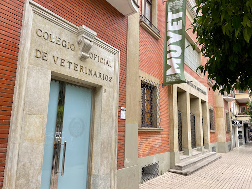 Ilustre Colegio Provincial de Veterinarios – Badajoz