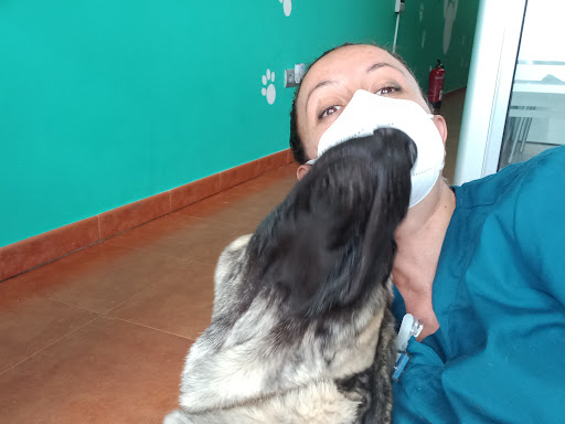 Integravet Centro Veterinario – Talavera de la Reina