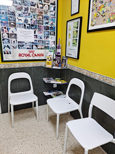 Isbilia Centro Veterinario – Montequinto