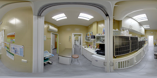 Kennel Centro Veterinario – Madrid