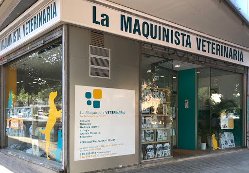 La Maquinista Veterinaria – Barcelona