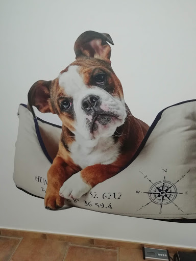 La Mascota Centre Veterinari – Súria