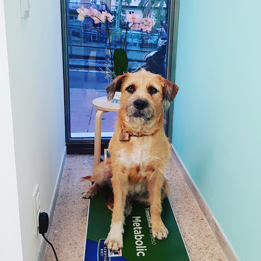La Veterinaria – Barcelona