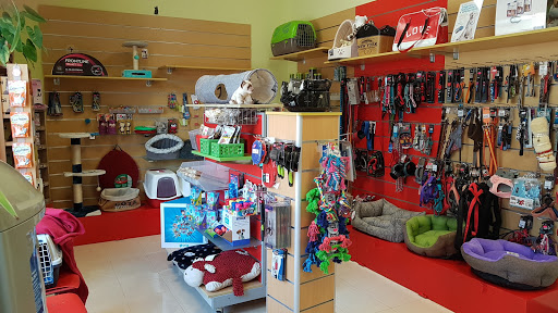 Lau Lagun Cb Clínica Veterinaria – Nuevo Baztán