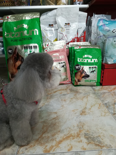 Lion Klinika Veterinaria – Bermeo