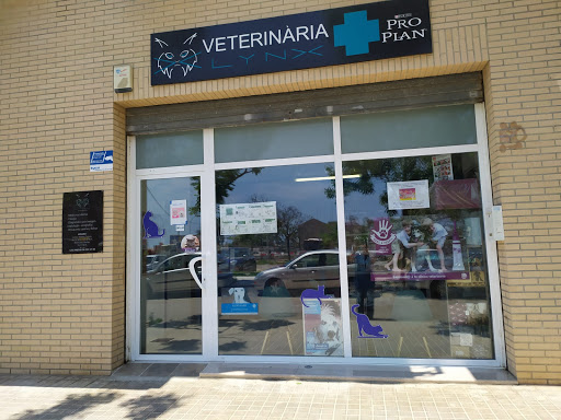 Lynx Veterinaria – Valencia