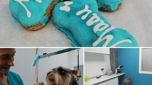 Maau Centre Veterinari – Creixell