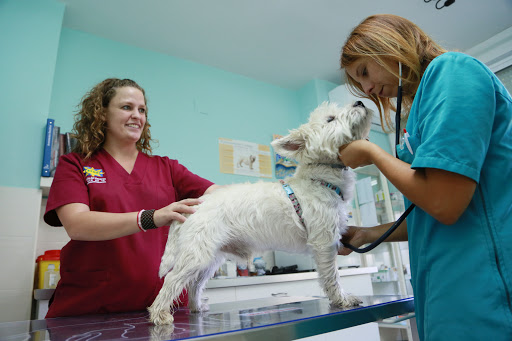 Madrid Barajas Kliper Centro Veterinario – Madrid