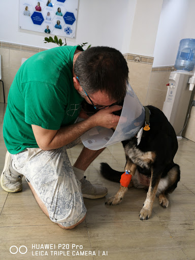 Malaga Veterinary Emergency Center (Urvemace) – Málaga