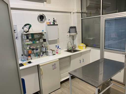 Mascotas Clínica Veterinaria – Villanueva de la Cañada