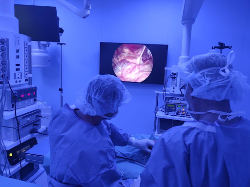 Maurici Batalla Veterinaris – Vilanova i la Geltrú