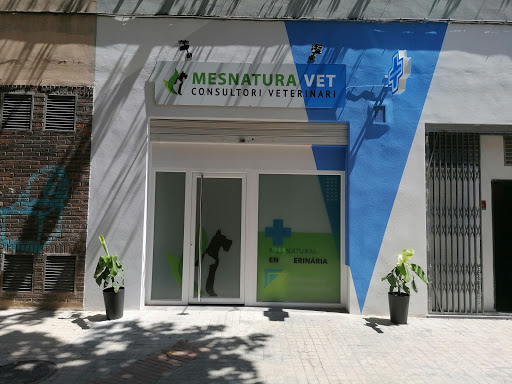 Mesnatura Vet. Consultorio Veterinario – Valencia