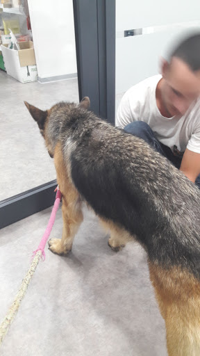 Misalvet( Clínica Veterinaria) – Medina-Sidonia