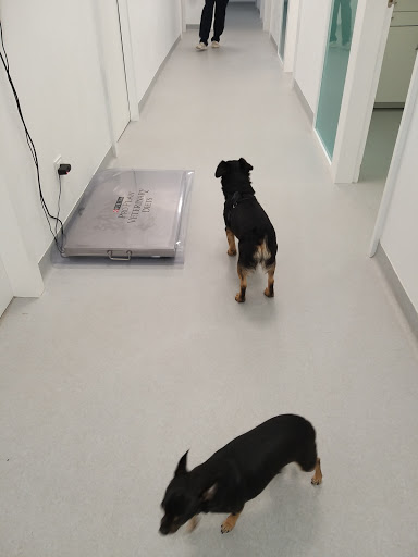 Miudiño Centro Veterinario – Vigo