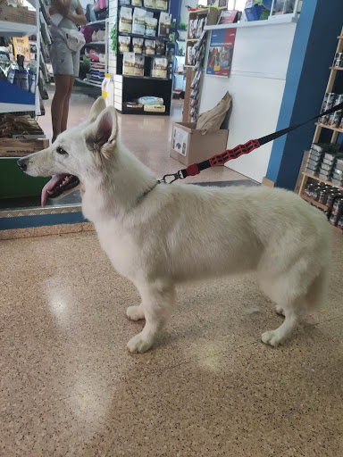 Mivet Clínica Veterinaria Crevillente – Crevillent