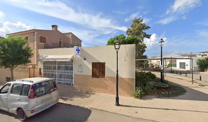 Mivet Clínica Veterinaria Petra – Petra