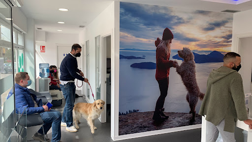 Mivet Hospital Veterinario Miramadrid – Paracuellos de Jarama