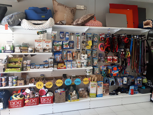 Montseny Veterinaris – Santa Maria de Palautordera