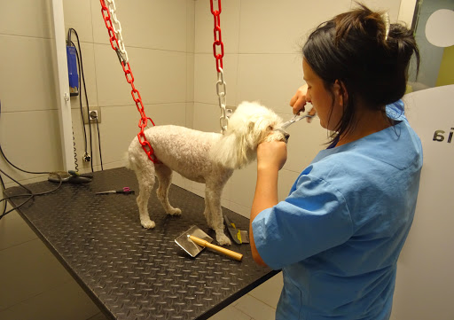 Montsià Veterinaris – Amposta